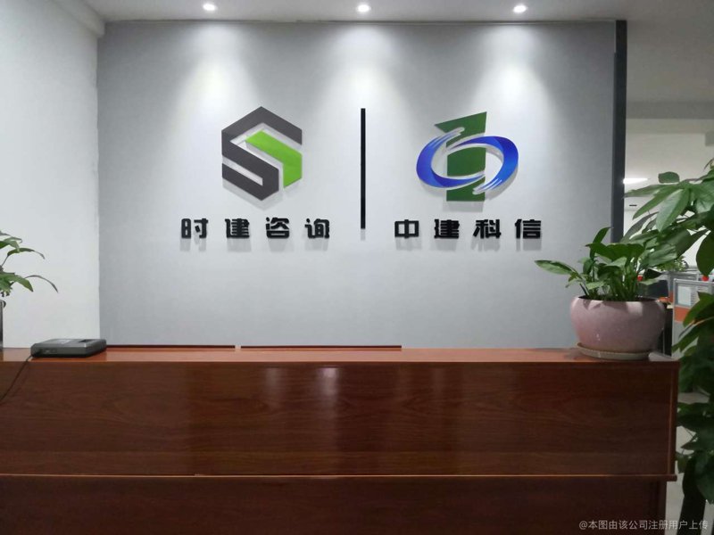 市场调研与洞察：行业发展的灯塔